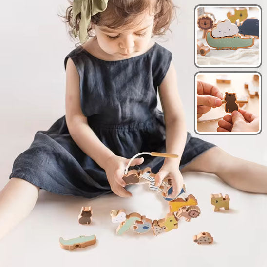 Jouets en Bois