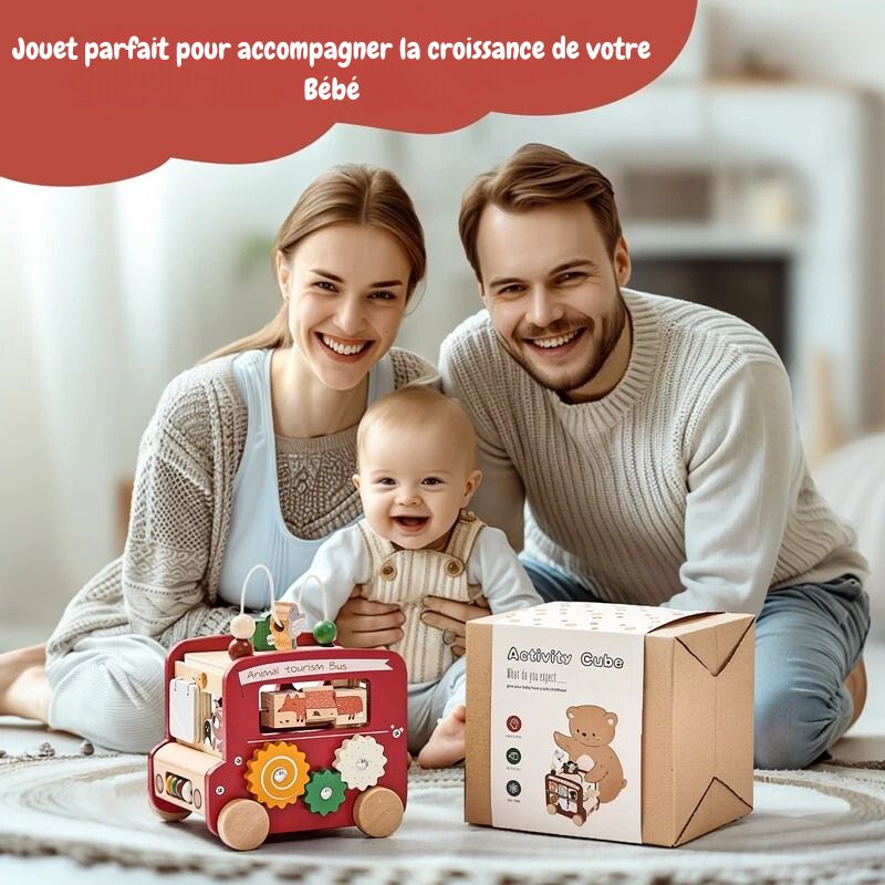 Cube d'activités Bébé 5 en 1
