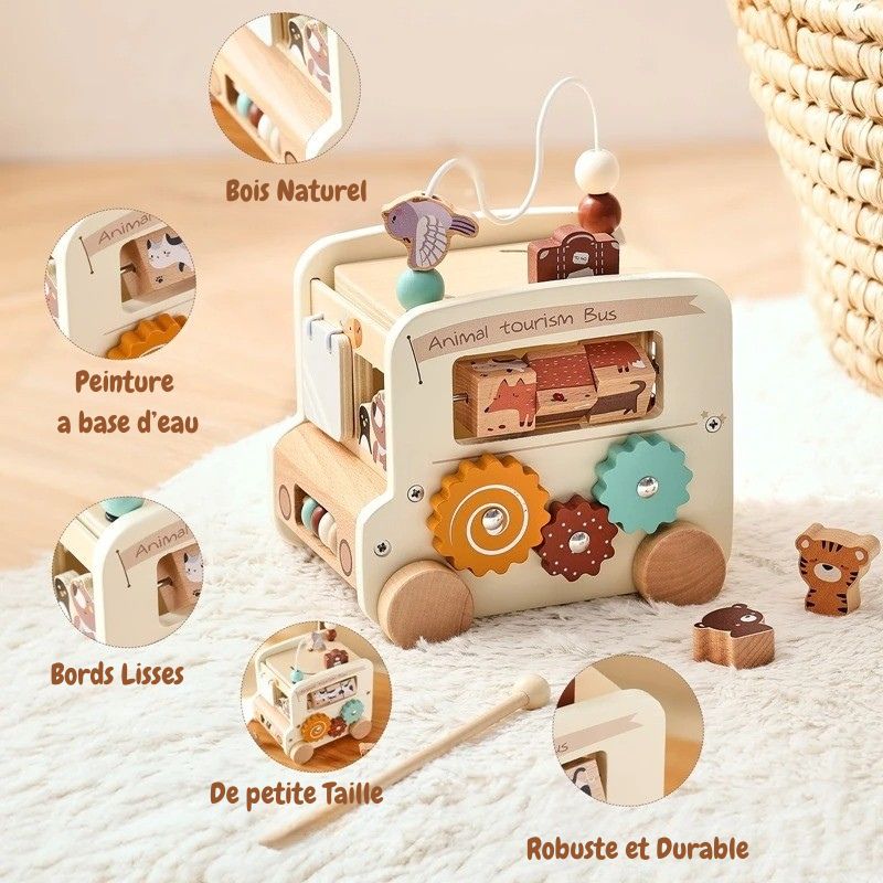 Cube d'activités Bébé 5 en 1