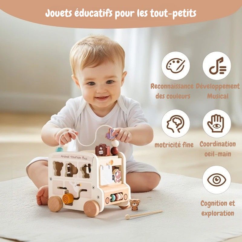 Cube d'activités Bébé 5 en 1