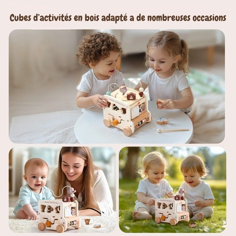 Cube d'activités Bébé 5 en 1