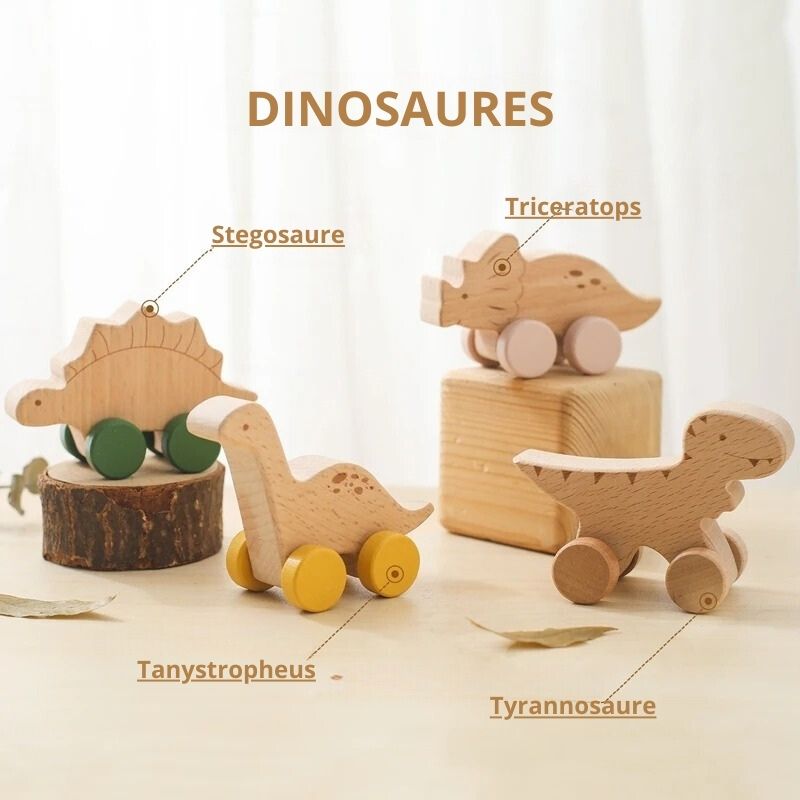 Lot de 4 Jouets Dinosaures en Bois